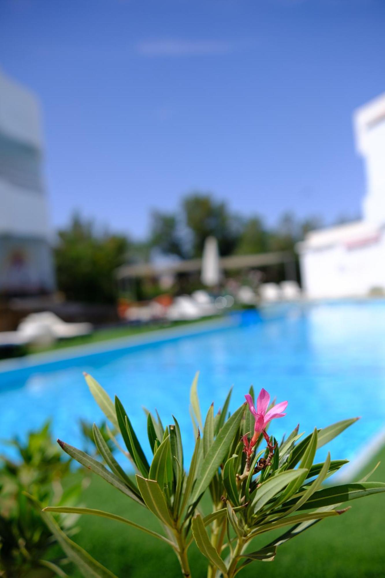 Viking Club Hotel Sharm el-Sheikh Exterior photo
